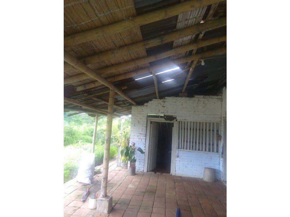 FINCA EN VENTA BELALCAZAR, CALDAS. - 4