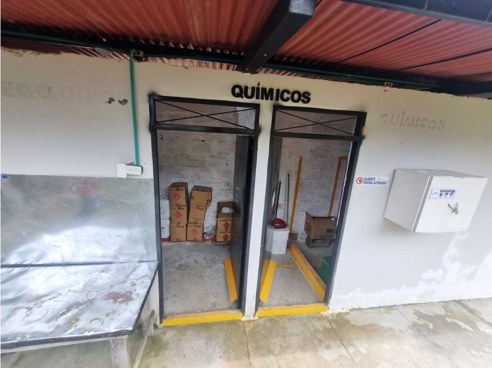 FINCA DE PRODUCCIÓN DE AGUACATE HAZZ PARA LA VENTA, SALAMINA - 2