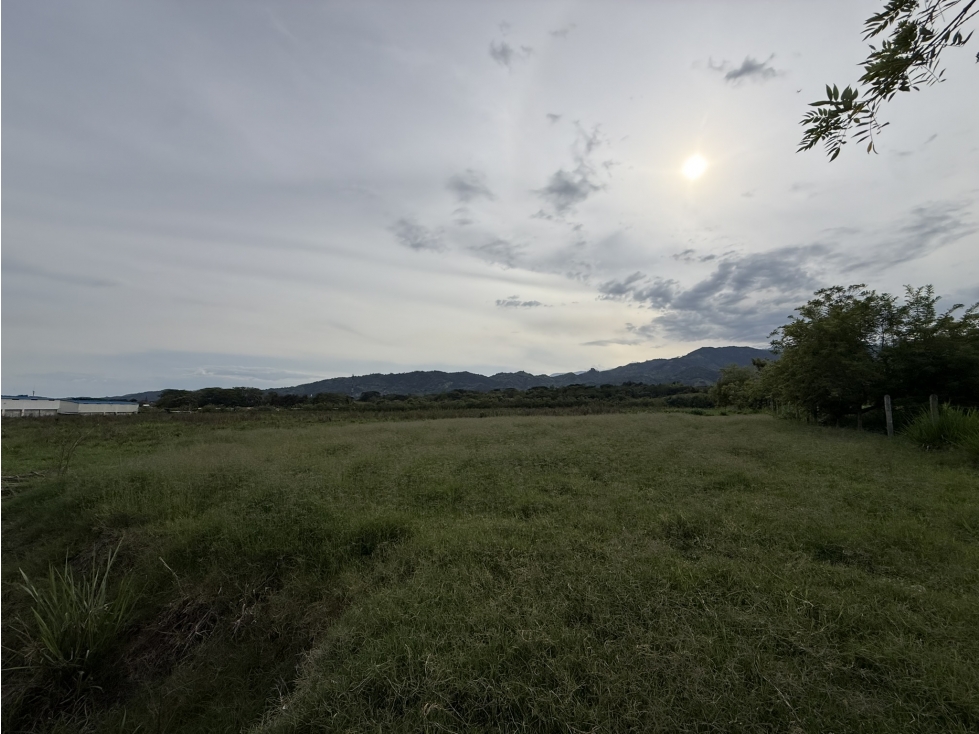 LOTE EN VENTA, VITERBO CALDAS - 3