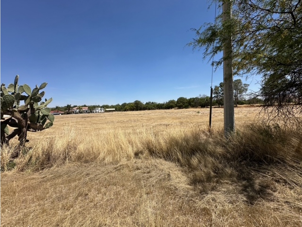 VENTA DE TERRENO HABITACIONAL DE 1 HA. CERCA DE HACIENDA PARAISO — foto 2