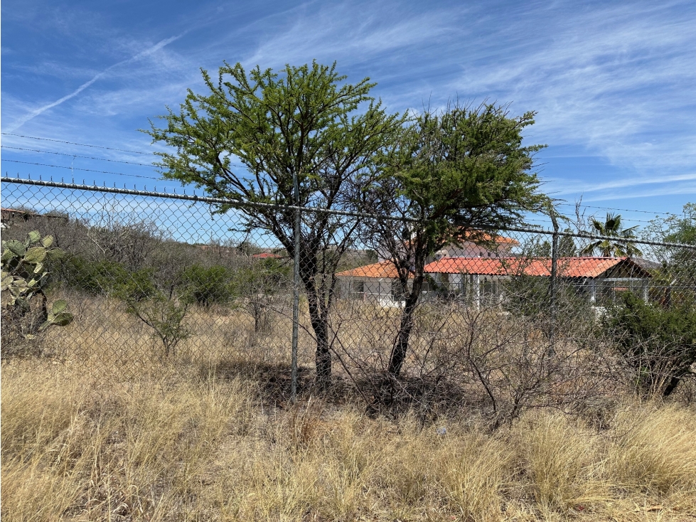 TERRENO RUSTICO EN EL PICACHO AGS. - 3