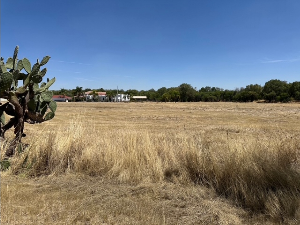 VENTA DE TERRENO HABITACIONAL DE 1 HA. CERCA DE HACIENDA PARAISO — foto 4