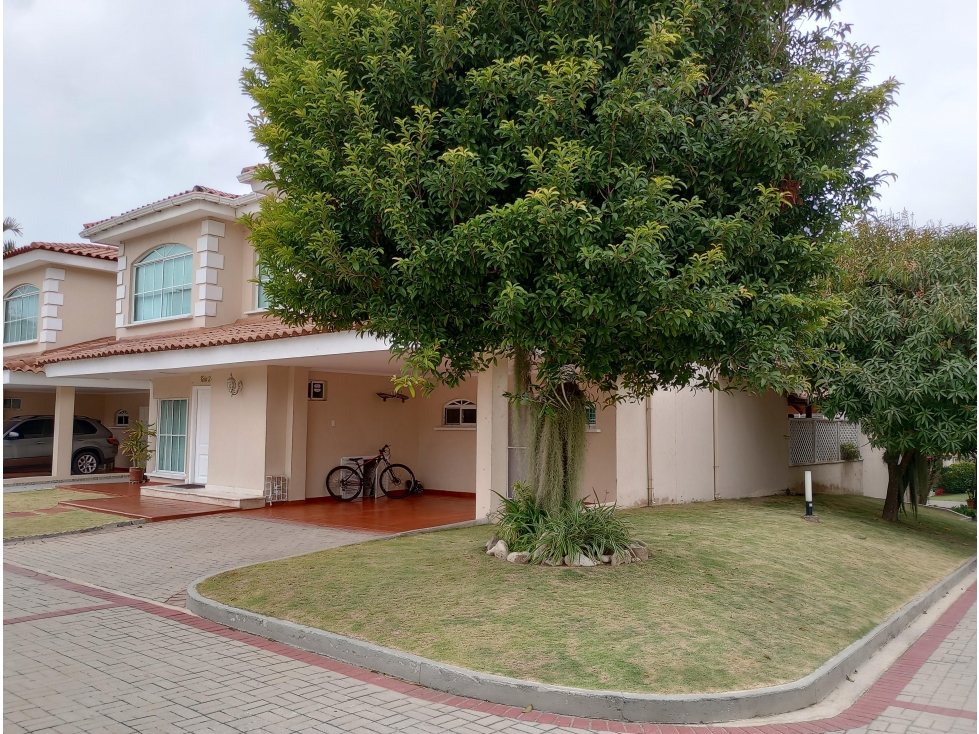 Venta Casa en Paseo de La Castellana — foto 6