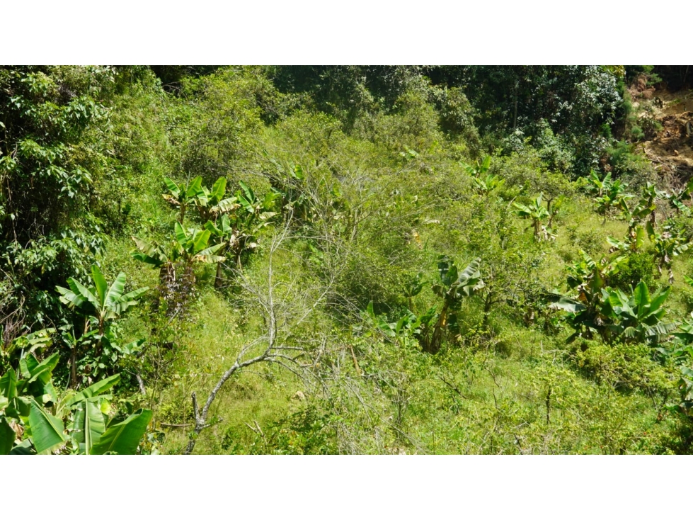 Lote con Casa en Venta en San Cristobal, Medellin - Antioquia — foto 3
