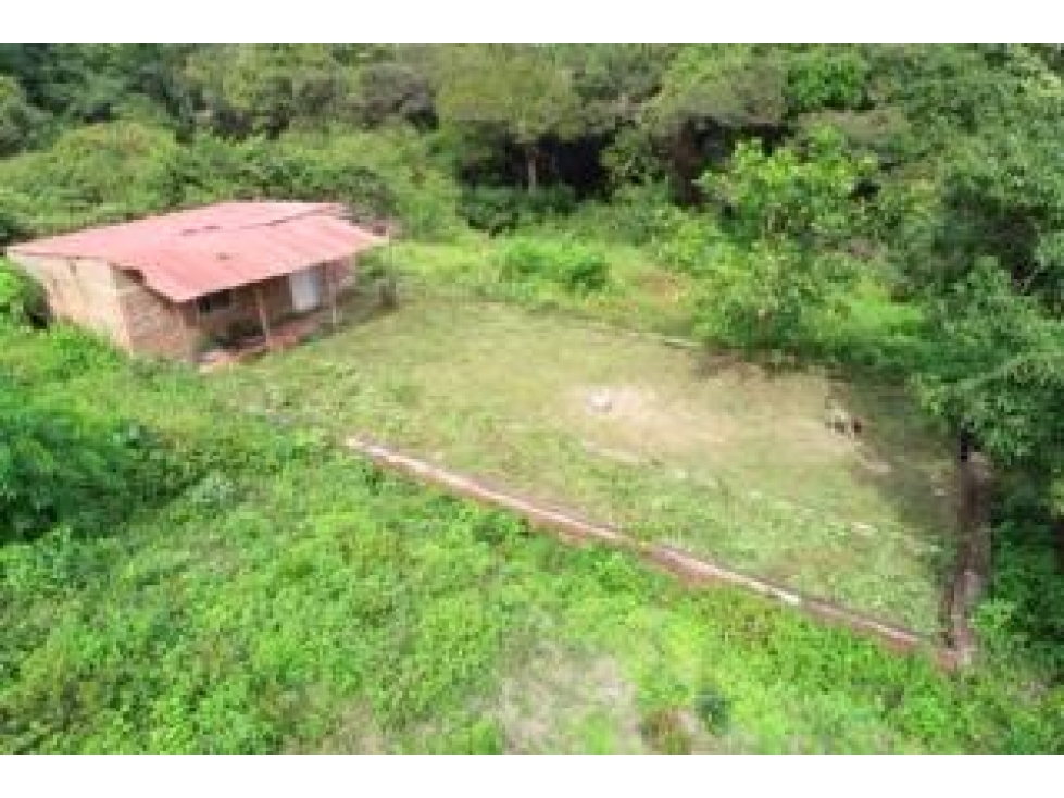 finca de 8 hectáreas en vereda: Bonda, Finca Santa Teresa Lote D