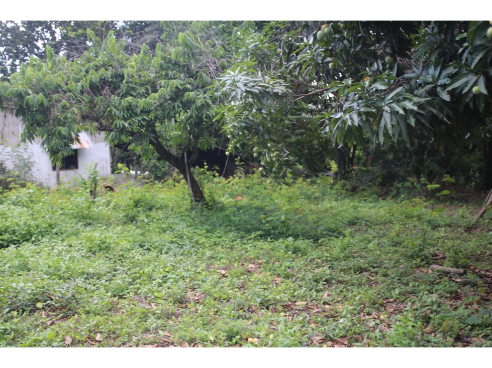 Oportunidad: 4 hectáreas y 8.800 m² en Masinga-poblado G-54 — foto 3