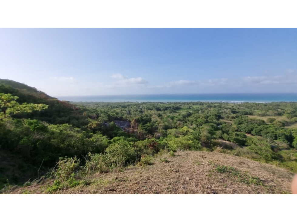 Lote de 1 hectárea económico Troncal del Caribe, cerca de Palomino — foto 6