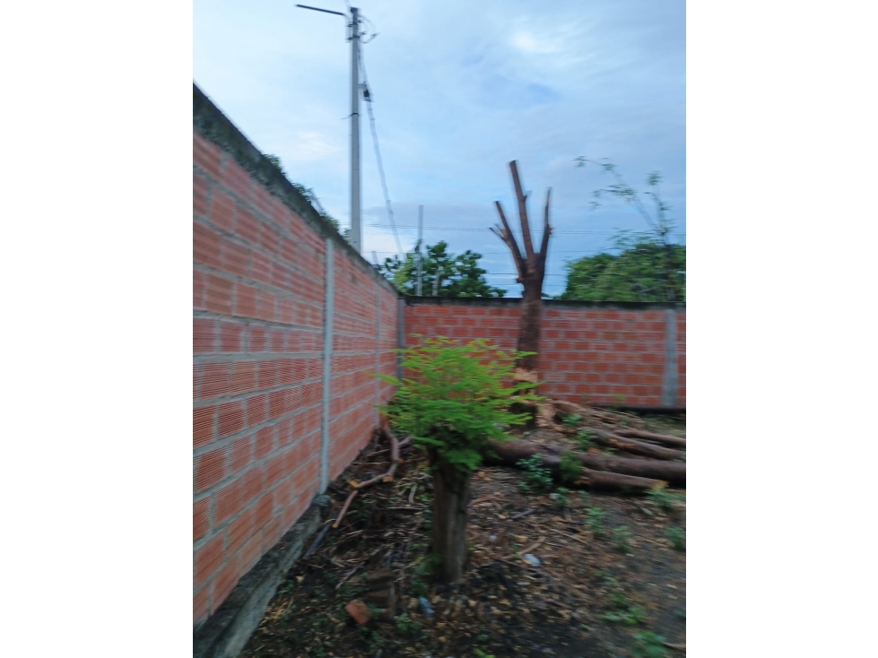 Espacioso Y Hermoso Lote Cerca del Mar — foto 3