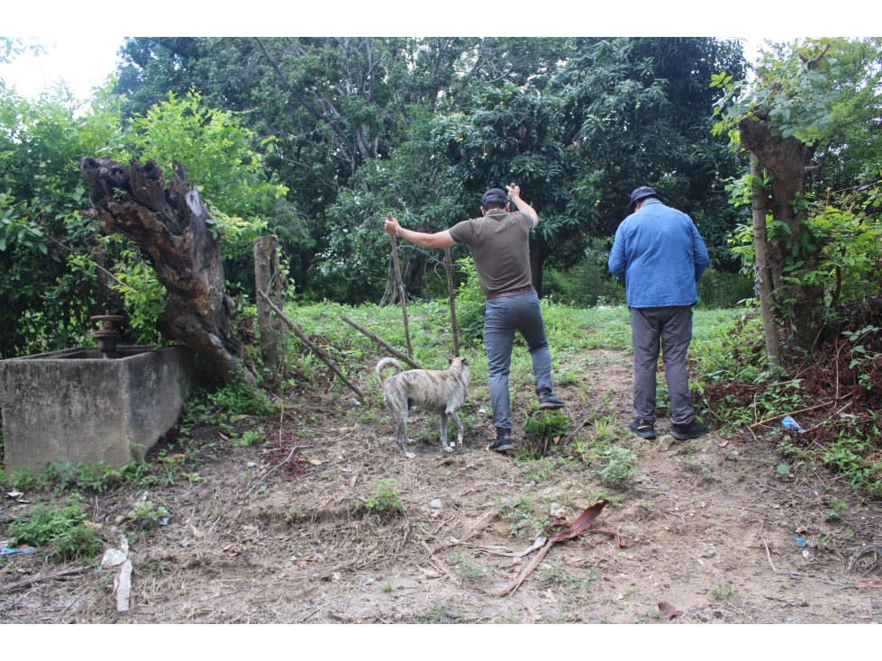 Invierte en Terreno en Masinga Zona de Crecimiento G-50 — foto 3