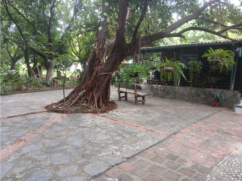 Gran finca en Bonda: 6,7 Has con lago, quebrada y piscina G-18