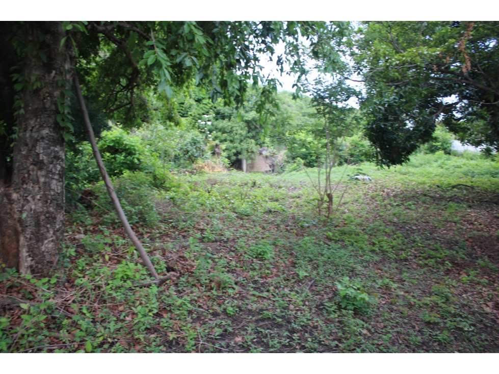 Invierte en Terreno en Masinga Zona de Crecimiento G-50 — foto 4