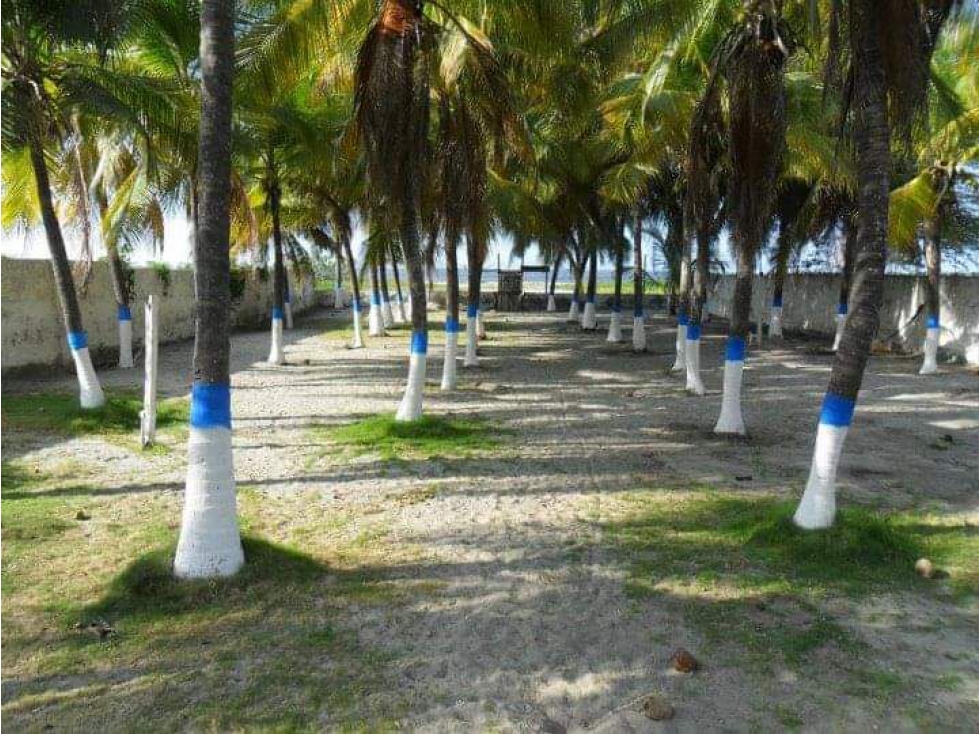 Se vende cabaña a 10 minutos de cienaga- pueblo viejo G-44 — foto 4