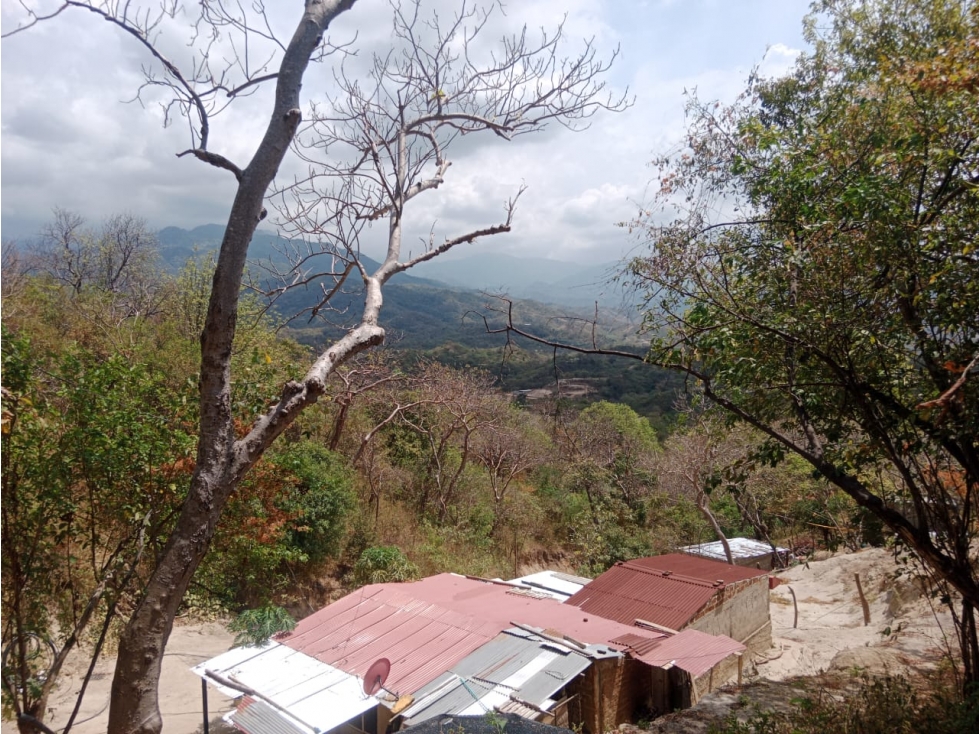 Oportunidad: finca-Lote en zona alta y verde de Santa MartaG-32 — foto 4
