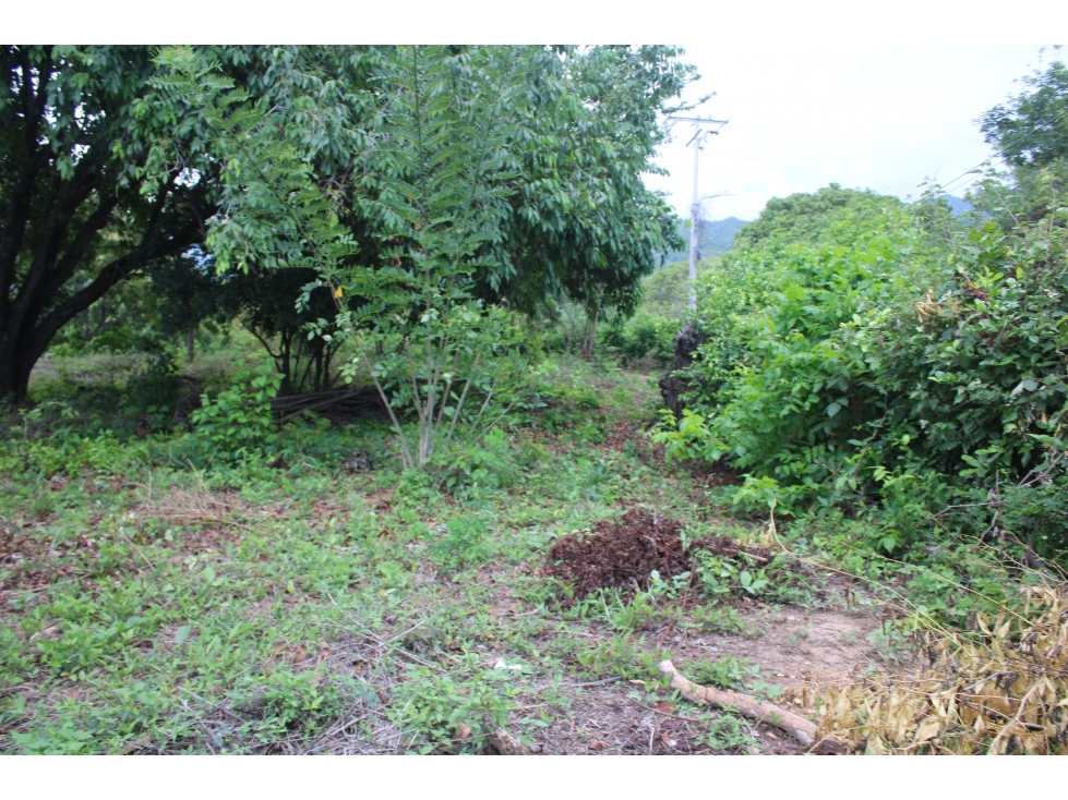Oportunidad: 4 hectáreas y 8.800 m² en Masinga-poblado G-54 — foto 5