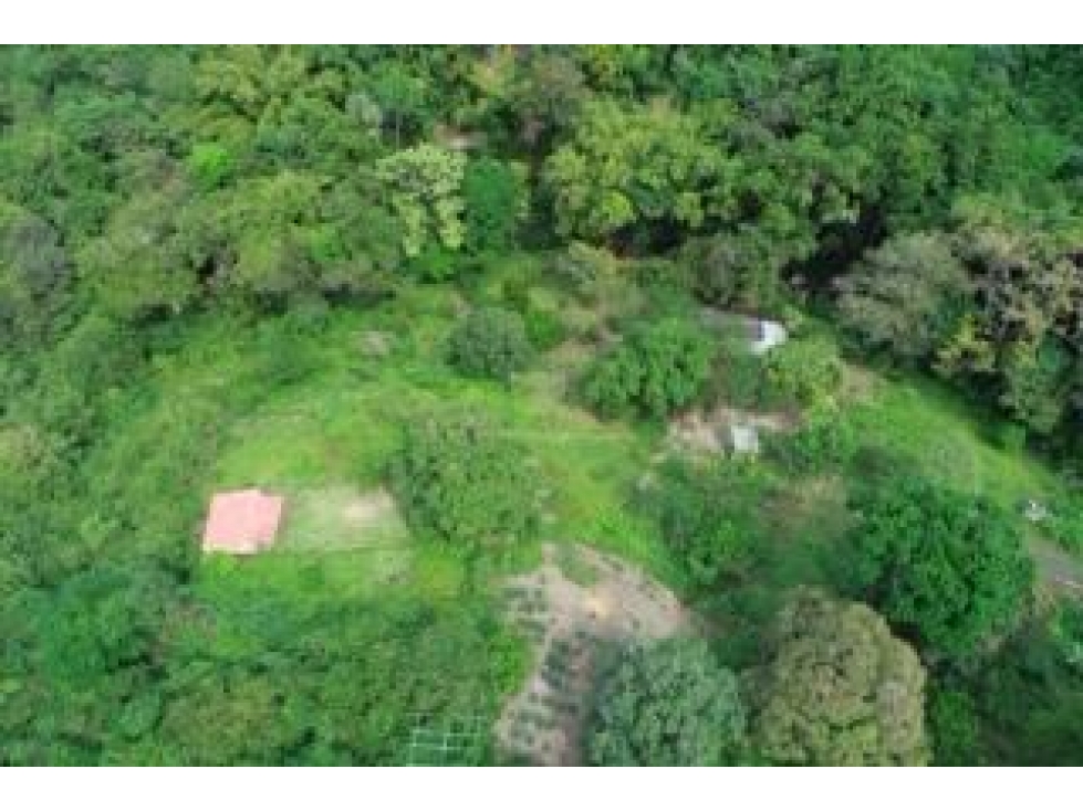 finca de 8 hectáreas en vereda: Bonda, Finca Santa Teresa Lote D — foto 2