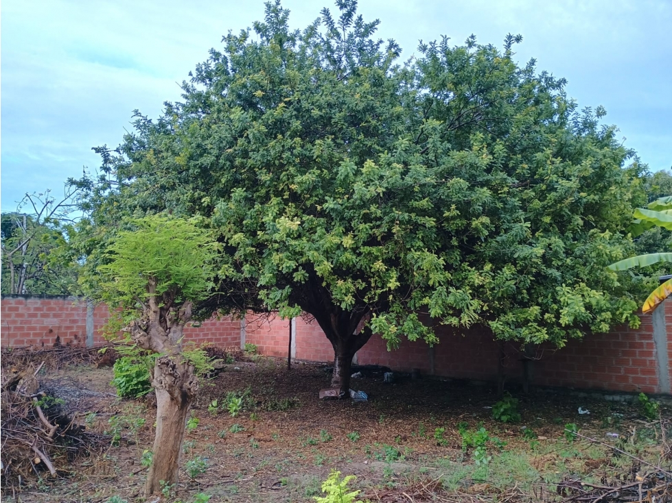 Espacioso Y Hermoso Lote Cerca del Mar — foto 4