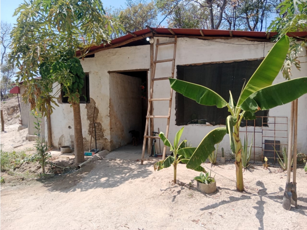 Oportunidad: finca-Lote en zona alta y verde de Santa MartaG-32
