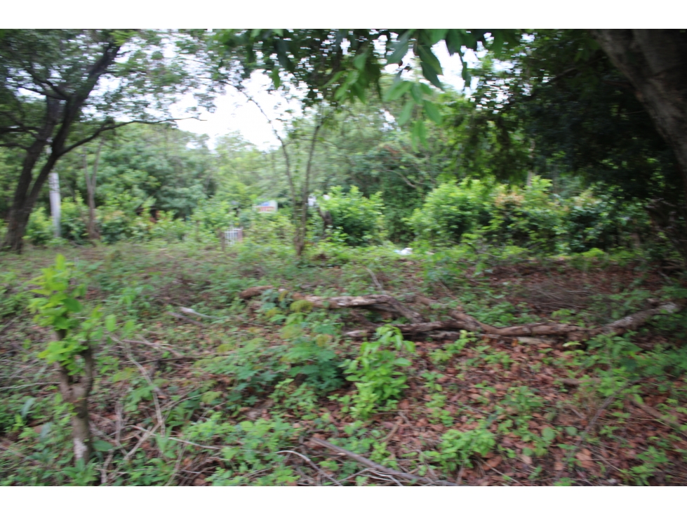 Invierte en Terreno en Masinga Zona de Crecimiento G-50 — foto 5