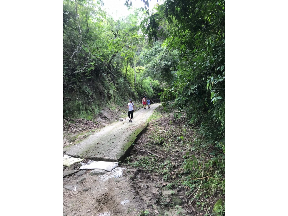 finca de 8 hectáreas en vereda: Bonda, Finca Santa Teresa Lote D — foto 6