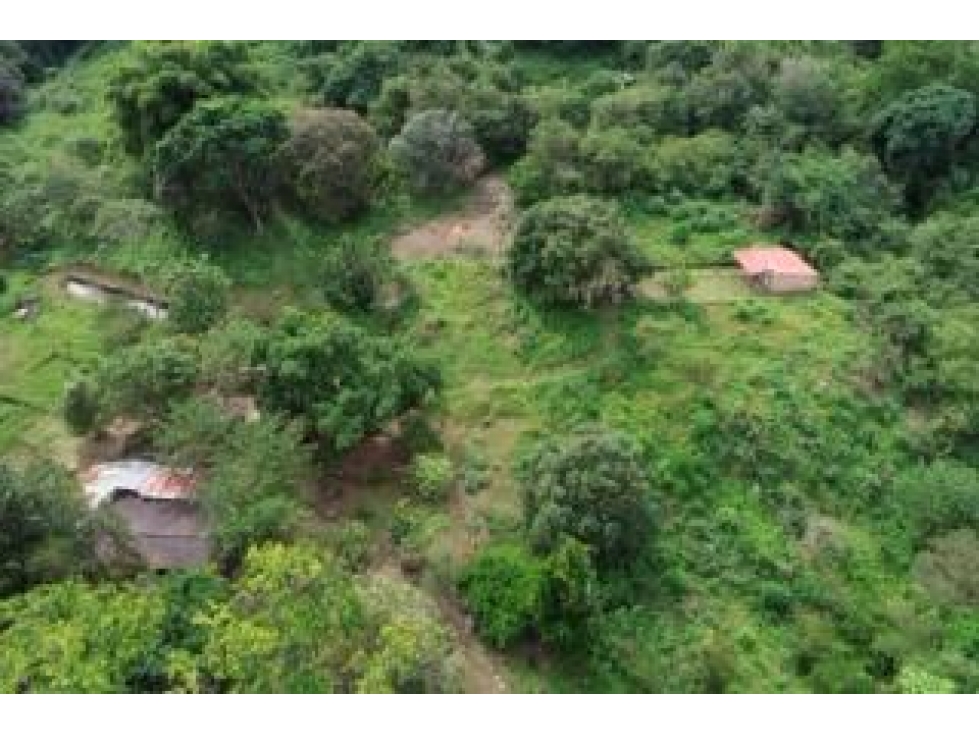finca de 8 hectáreas en vereda: Bonda, Finca Santa Teresa Lote D — foto 3