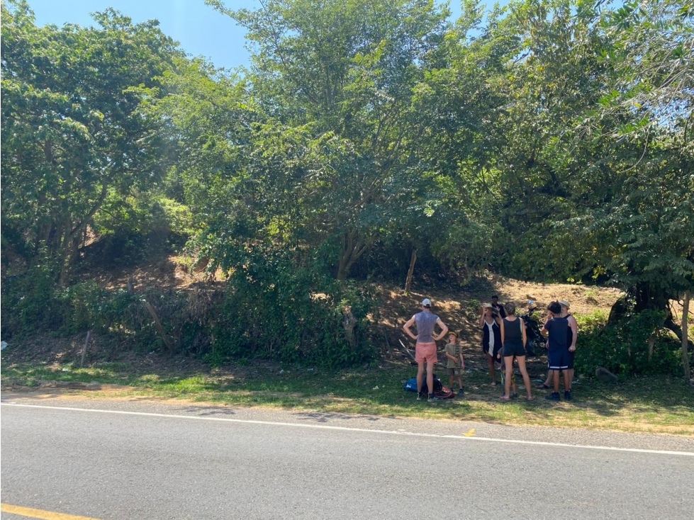 Lote de 1 hectárea económico Troncal del Caribe, cerca de Palomino — foto 5