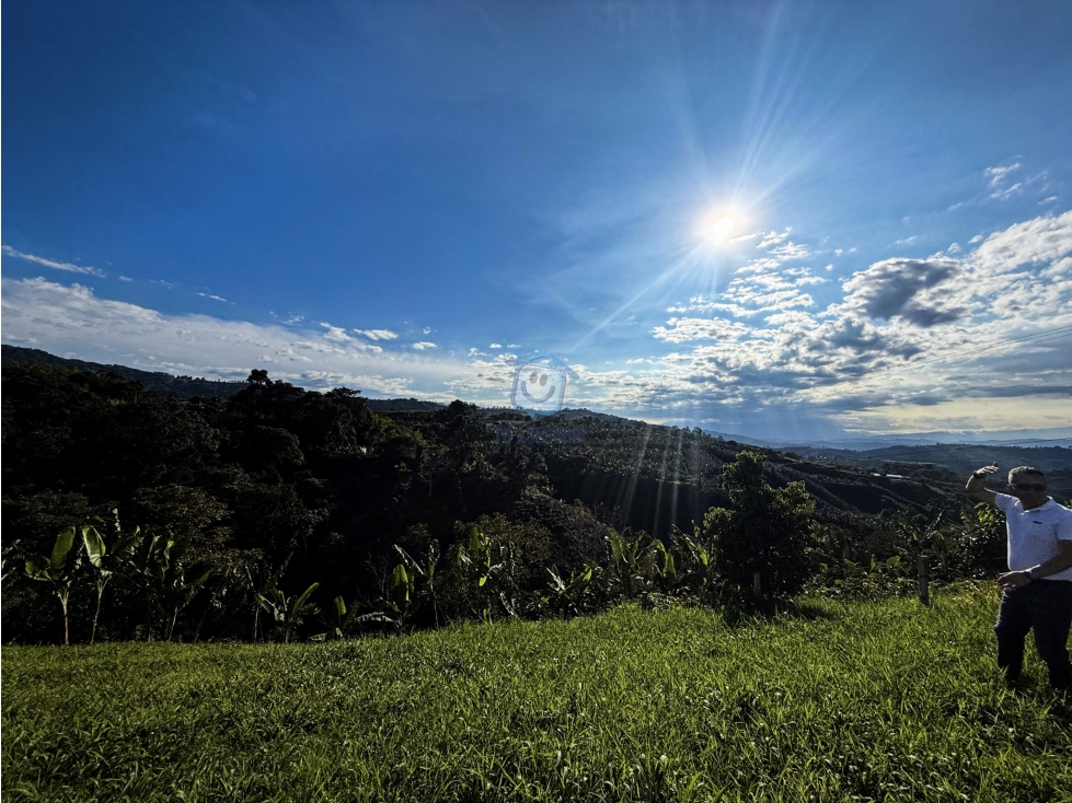 Lote en venta en el Lembo Santa Rosa de Cabal - 4