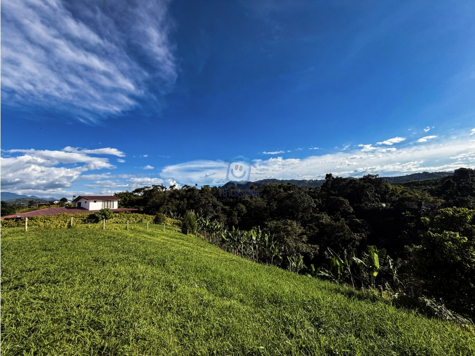 Lote en venta en el Lembo Santa Rosa de Cabal - 3