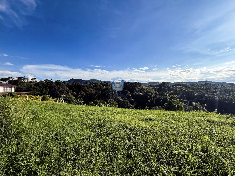 Lote en venta en el Lembo Santa Rosa de Cabal - 5
