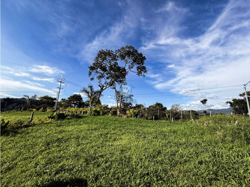 Lote en venta en el Lembo Santa Rosa de Cabal - 2