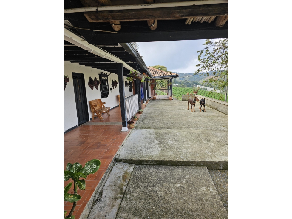 Finca en el santuario de 18.000 m² con Caballerizas — foto 2