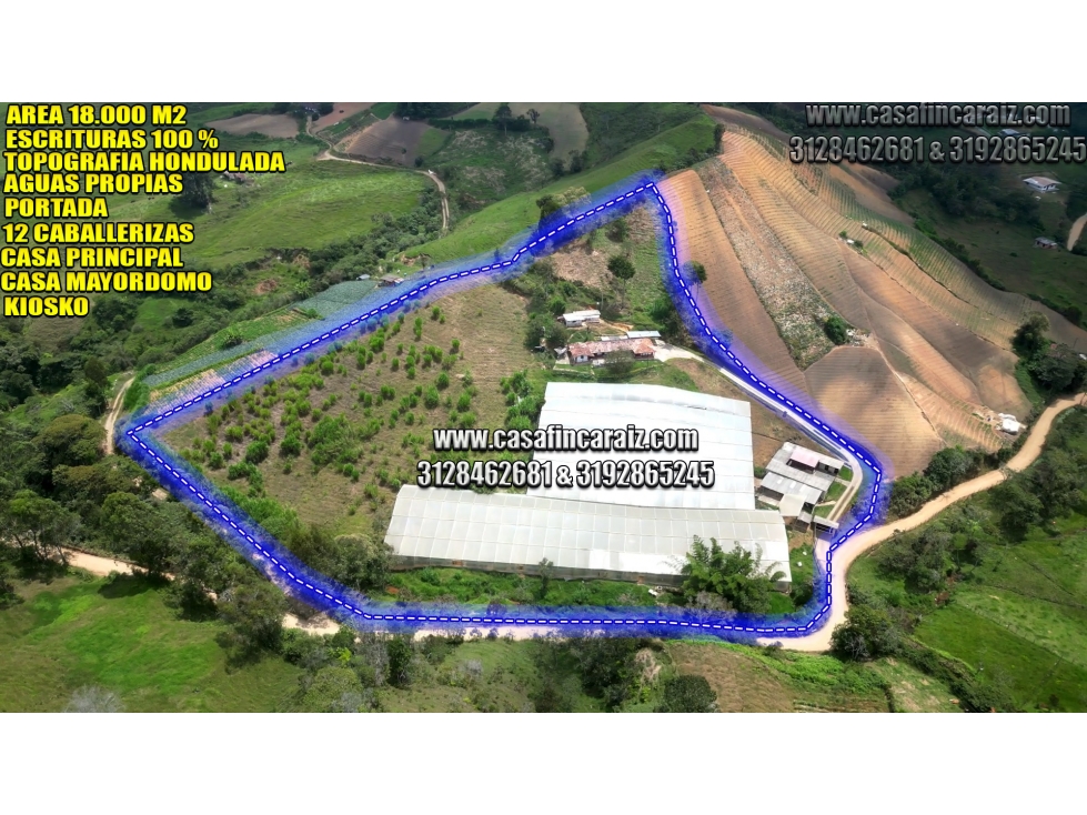 Finca en el santuario de 18.000 m² con Caballerizas — foto 4