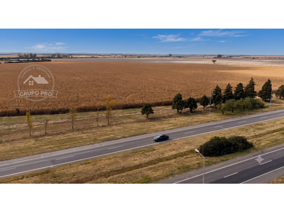 CAMPO 40 Has. ACCESO A CORDOBA AUTOPISTA CBA.VILLA MARIA-VALOR x Ha - 3