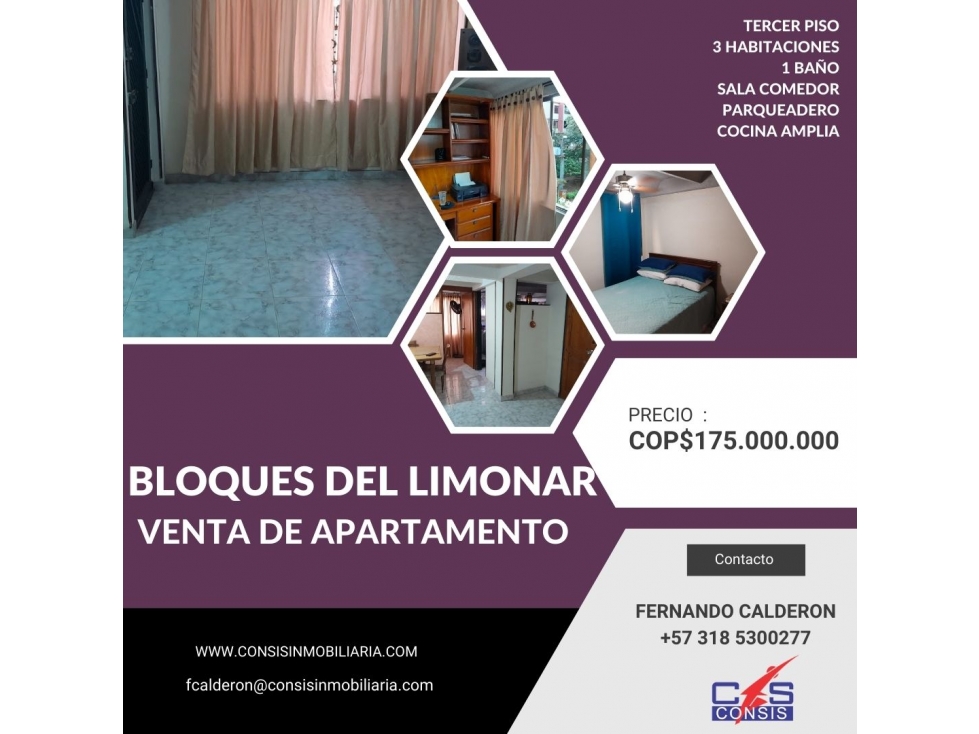 VENTA DE APARTAMENTO EN BLOQUES DEL LIMONAR ETAPA B, CALI