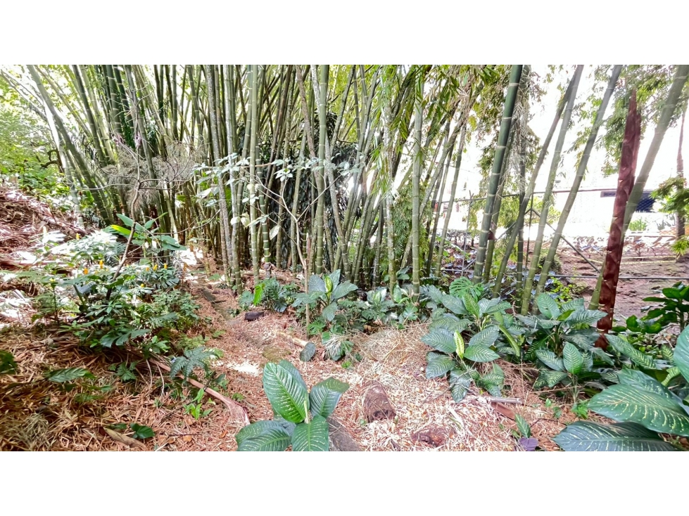 240 m² + JARDIN PRIVADO de 70 m² y gran terraza | Transversal Inferior — foto 6