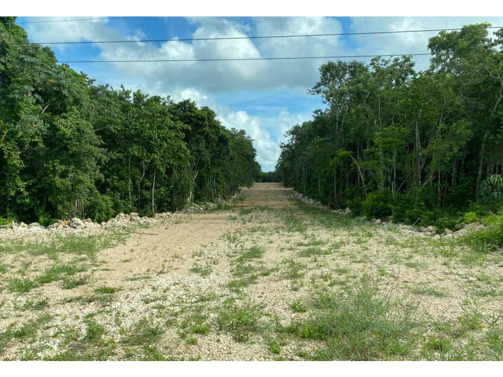 Venta de Terreno en Puerto Morelos en Ruta de los Cenotes - 2