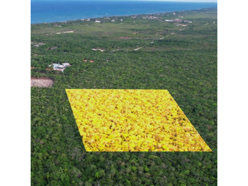 Terreno en Venta en Region 8 Tulum - 1