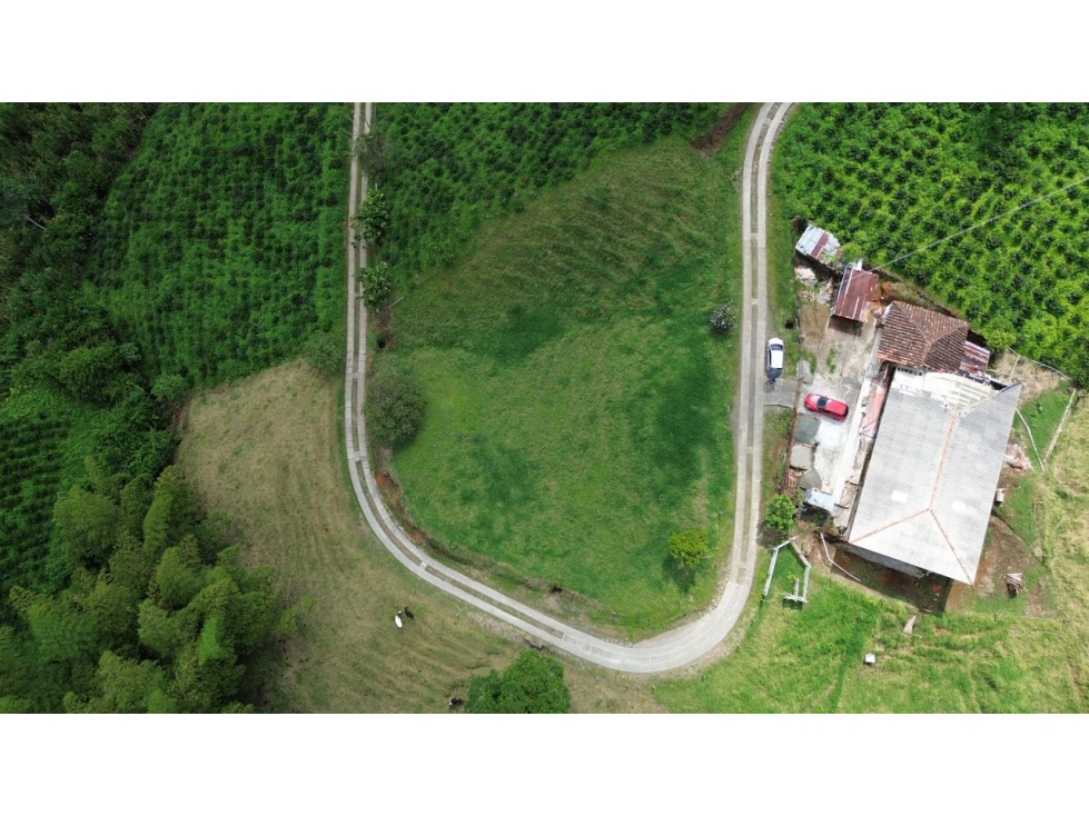 VENDO LOTE CAMPESTRE VIA EL ERAZO, PEREIRA — foto 4