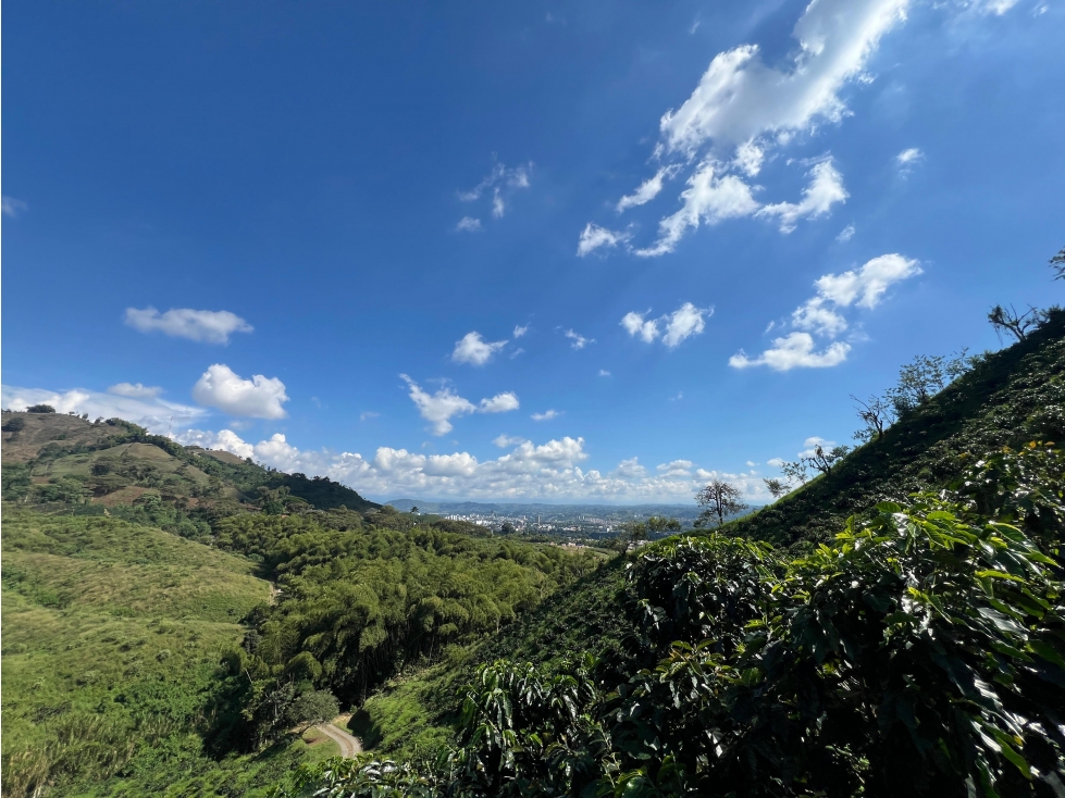 VENDO LOTE CAMPESTRE VIA EL ERAZO, PEREIRA — foto 6