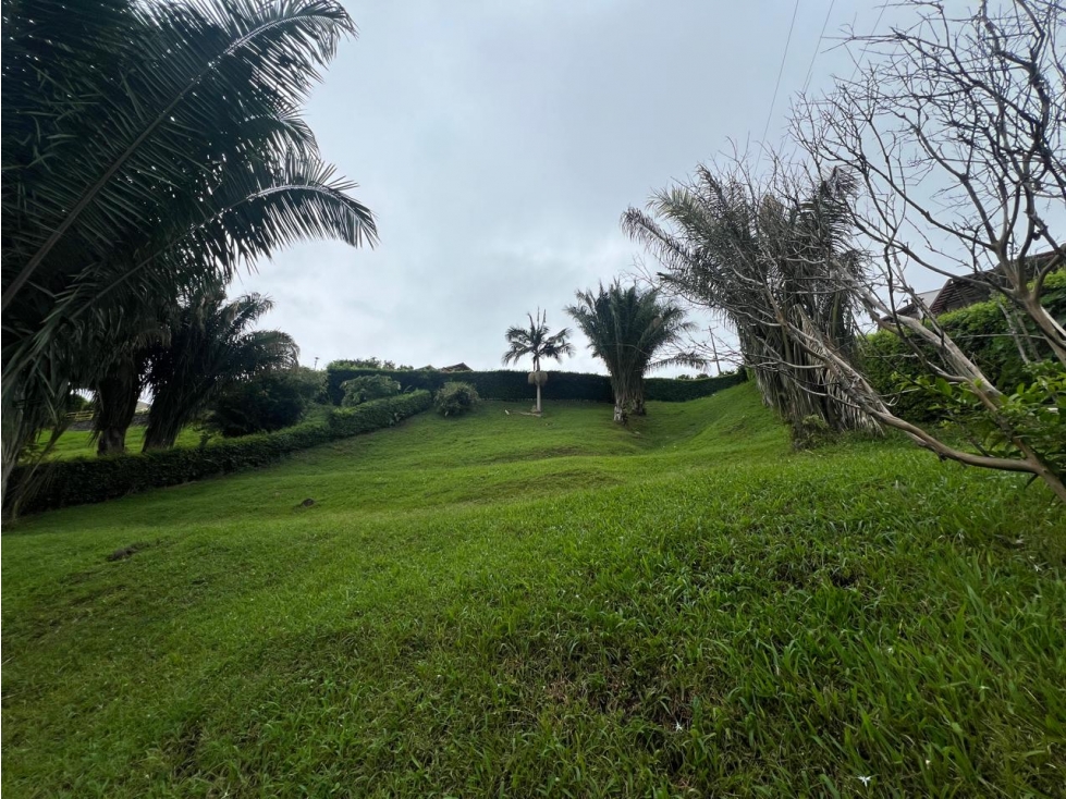 VENDO LOTE CAMPESTRE EN CERRITOS PEREIRA CON TOPOLOGIA INCLINADA — foto 5