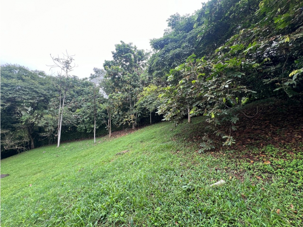 VENDO LOTE CAMPESTRE EN CERRITOS PEREIRA SEMI ONDULADO — foto 4