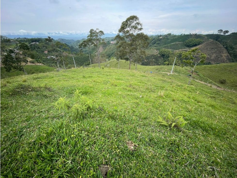 VENDO FINCA GANADERA EN ARABIA, CERCA DE PEREIRA — foto 4