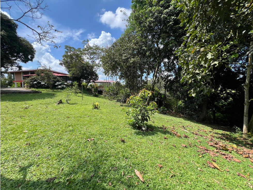 VENDO FINCA CAMPESTRE EN LA VIA ALCALA PEREIRA — foto 3