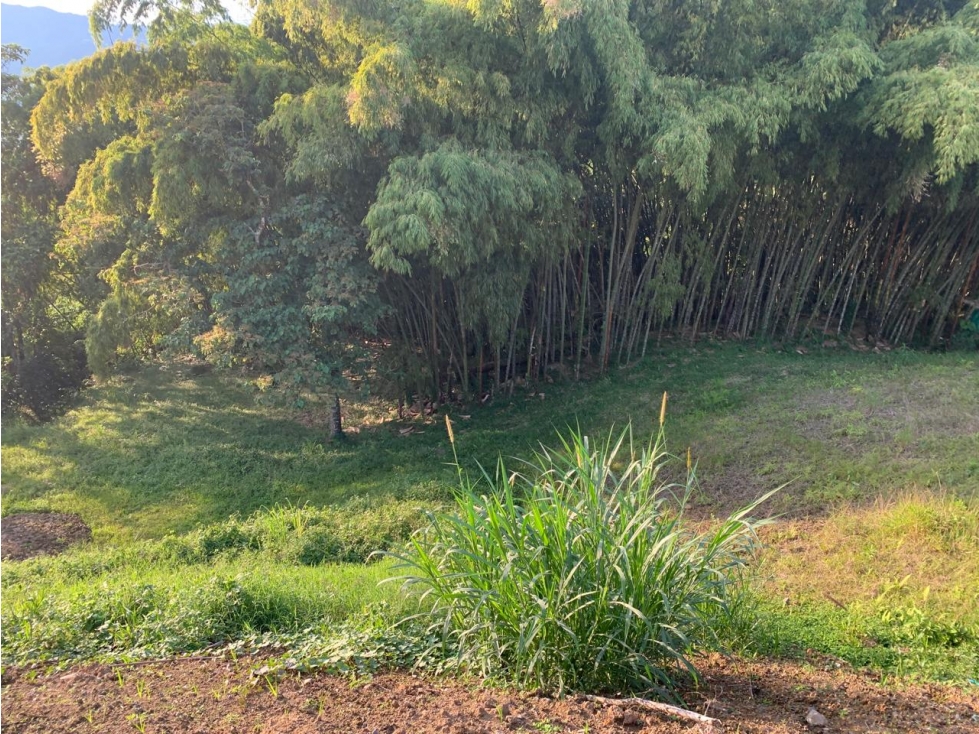 VENDO LOTE CAMPESTRE EN BOQUERON, DOSQUEBRADAS