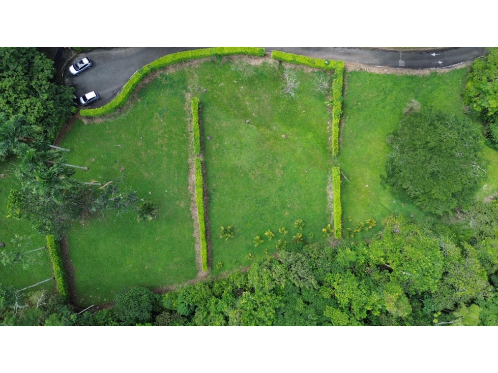 VENDO LOTE CAMPESTRE CON TOPOLOGIA ONDULADA EN CERRITOS PEREIRA — foto 4
