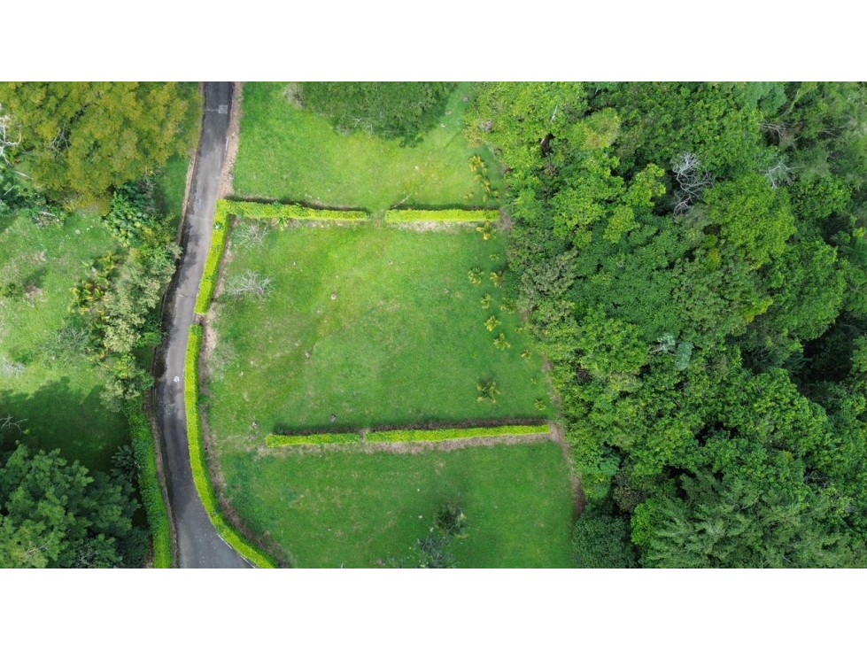 VENDO LOTE CAMPESTRE CON TOPOLOGIA ONDULADA EN CERRITOS PEREIRA — foto 5