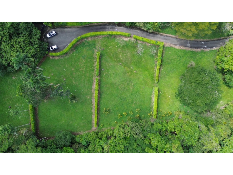VENDO LOTE CAMPESTRE CON TOPOLOGIA ONDULADA EN CERRITOS PEREIRA — foto 6