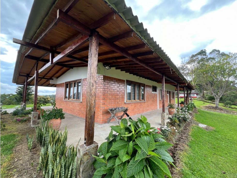 VENDO FINCA EN EL MANZANO VIA ARMENIA PEREIRA 34 CUADRAS — foto 6