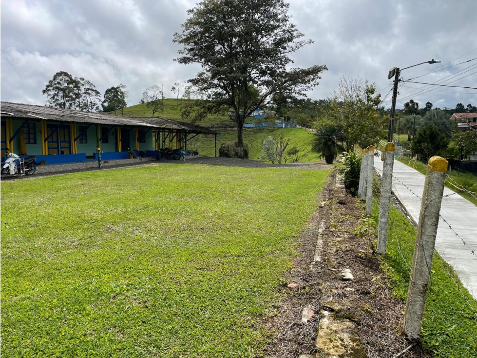 VENDO FINCA GANADERA EN ARABIA, CERCA DE PEREIRA — foto 3