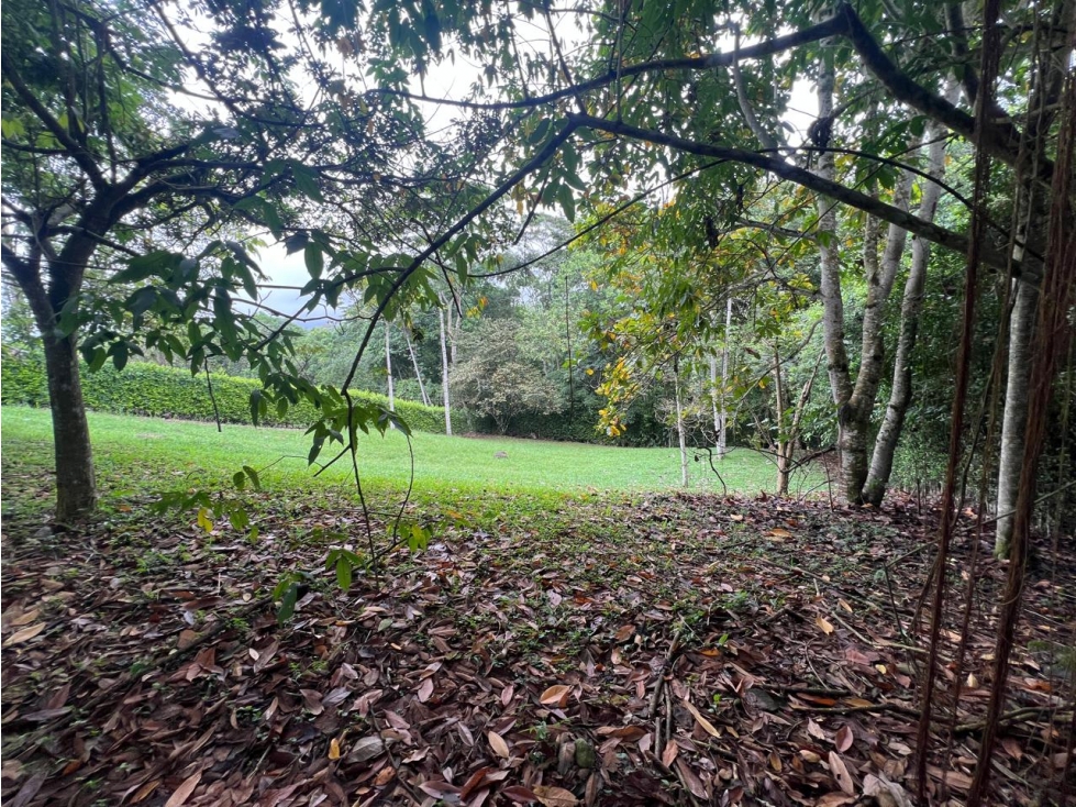 VENDO LOTE CAMPESTRE EN CERRITOS PEREIRA SEMI ONDULADO — foto 5