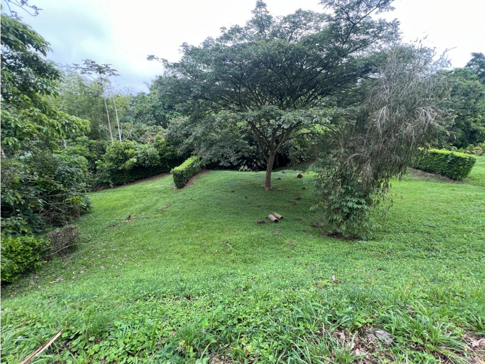 VENDO LOTE CAMPESTRE EN CERRITOS PEREIRA TOPOLOGIA ONDULADA — foto 3